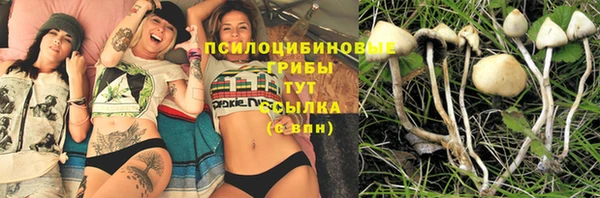 2c-b Балахна