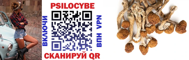 Галлюциногенные грибы Psilocybe  kraken ССЫЛКА  Бугуруслан 