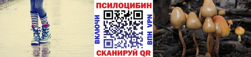 Галлюциногенные грибы Psilocybine cubensis Бугуруслан